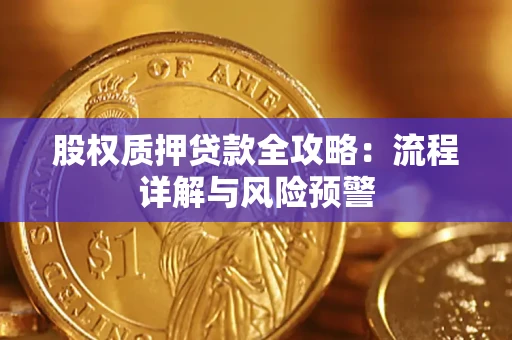 北京股权质押贷款全攻略：流程详解与风险预警