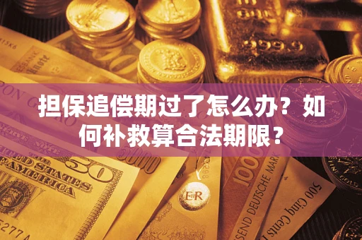 北京担保追偿期过了怎么办？如何补救算合法期限？